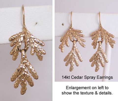 14k Cedar Spray Earrings