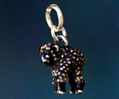 Black Lamb Charm