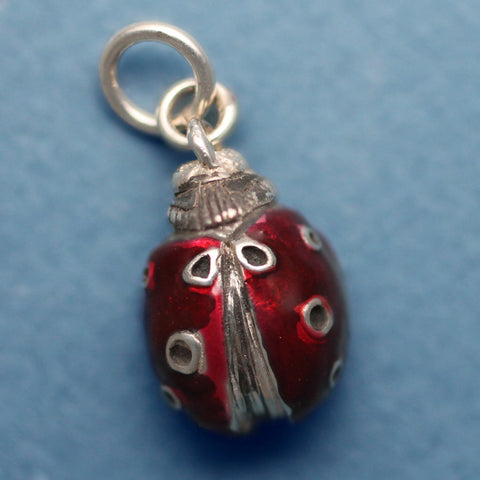 Ladybug Charm